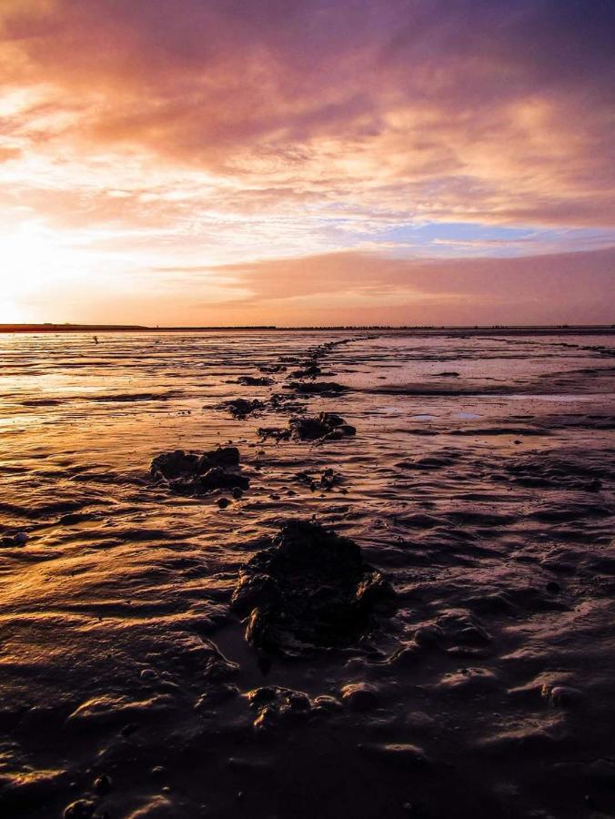 Vissershuisje Aan De Waddenzee Paesens Экстерьер фото