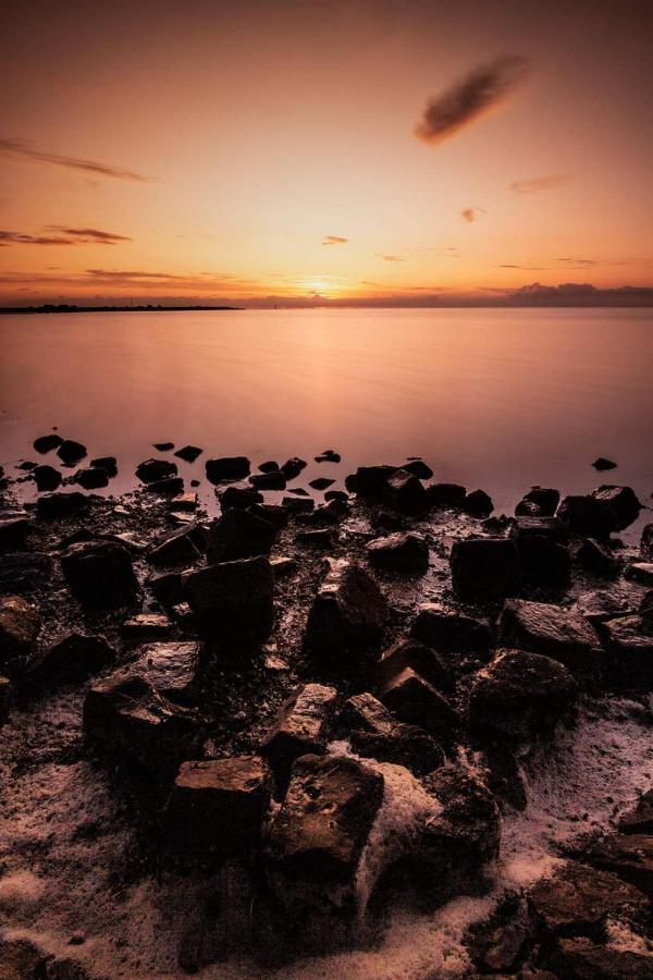 Vissershuisje Aan De Waddenzee Paesens Экстерьер фото